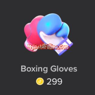 Boxing Gloves Tiktok Gift